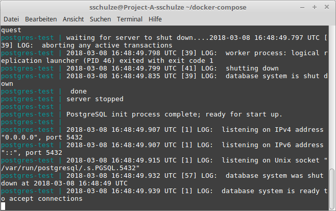 Screenshot: A CLI log showing the Docker container started