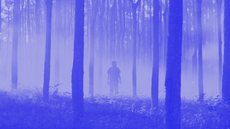 A person standing in the middle of the woods, surrounded by fog