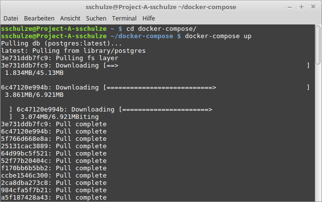 Screenshot: A CLI log showing Docker downloading